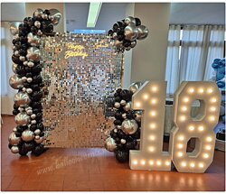 scimmer 18